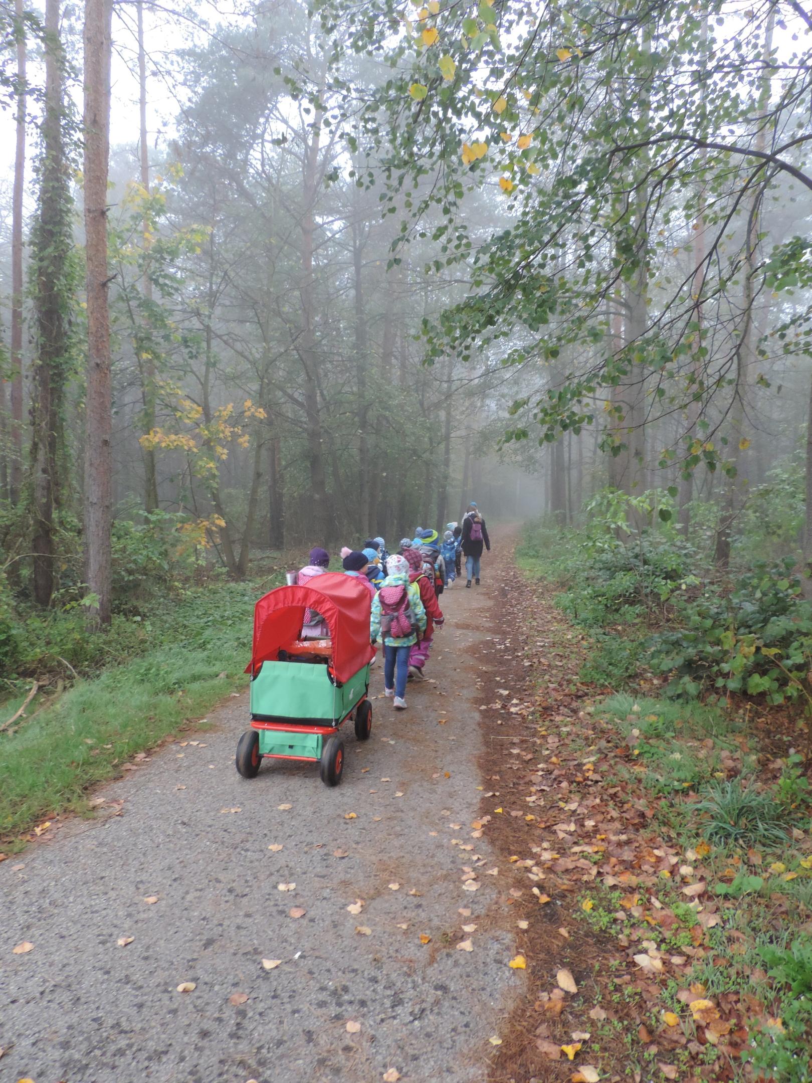 Wir ziehen in den Wald. (c) Kita St.Vitus
